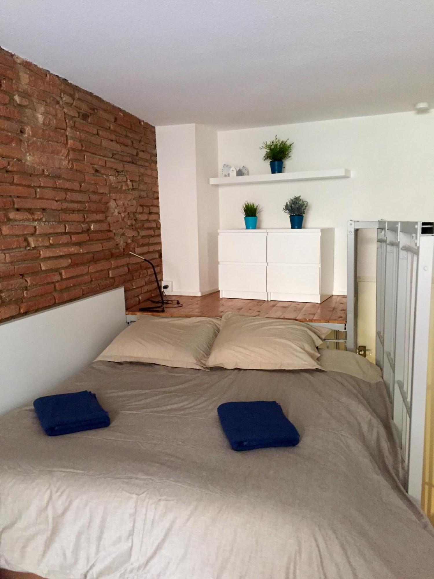 Le Petit Moulin, Duplex Hypercentre Toulouse公寓 外观 照片